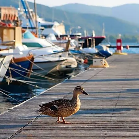 Porto Sole Portoferraio